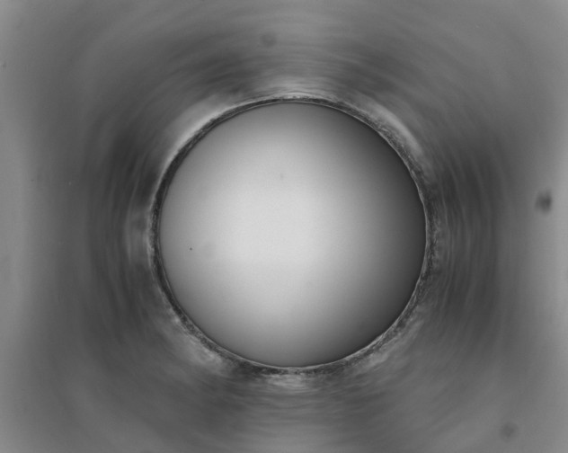 X0000094321182200711091334