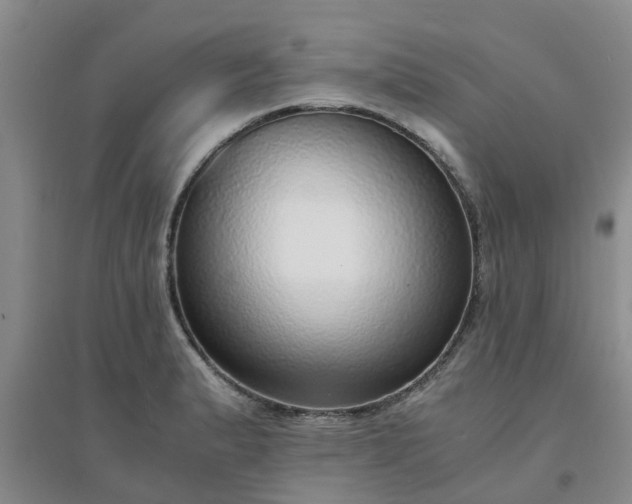 X0000094321183200711091334