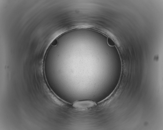 X0000094321186200711091334