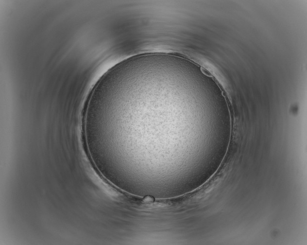 X0000094321187200711091334