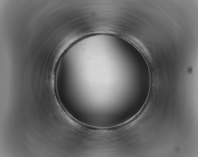 X0000094321188200711091334