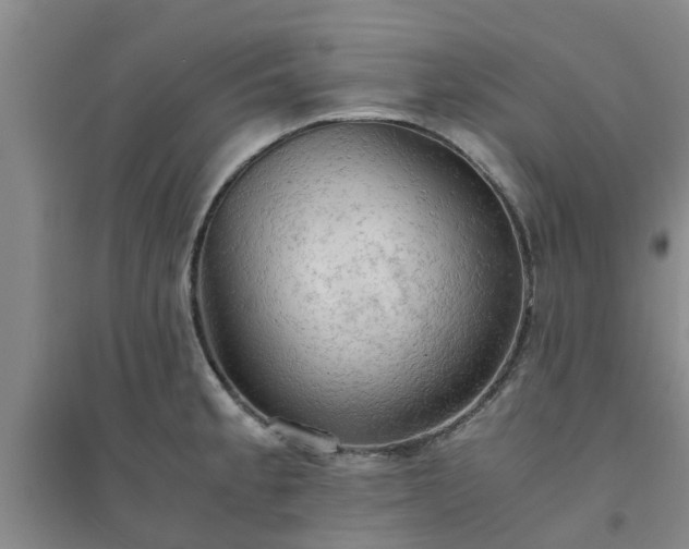 X0000094321189200711091334
