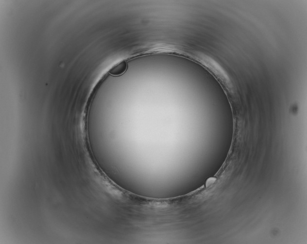 X0000094321190200711091334