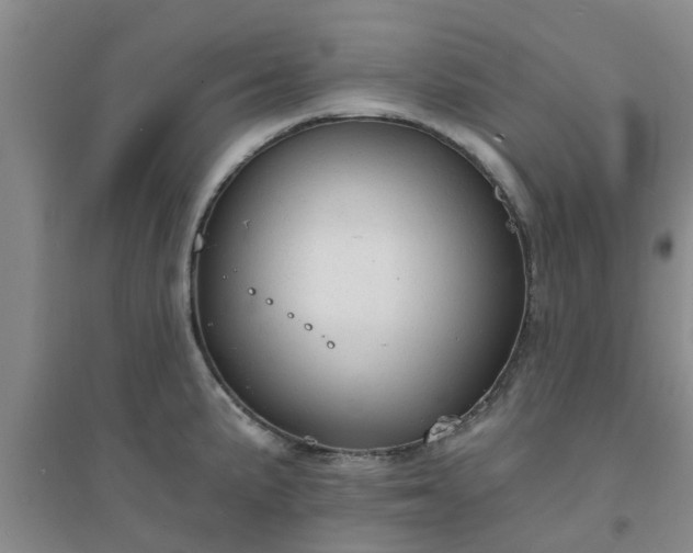 X0000094321191200711091334