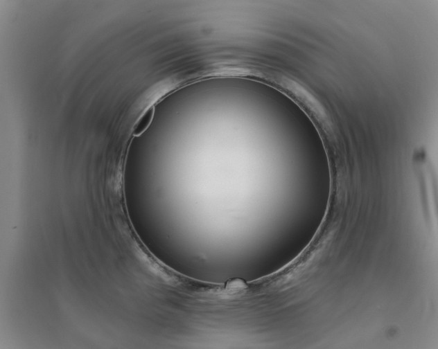 X0000094321193200711091334