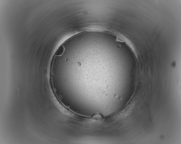 X0000094321195200711091334