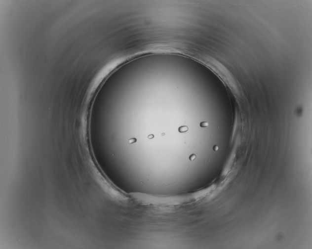 X0000094321196200711091334