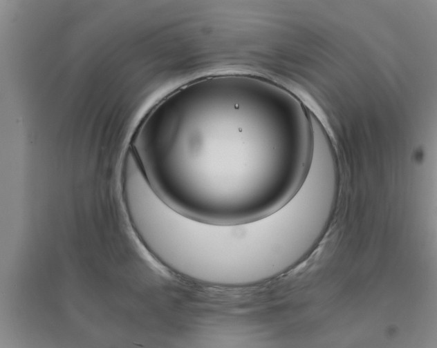 X0000094321197200711091334