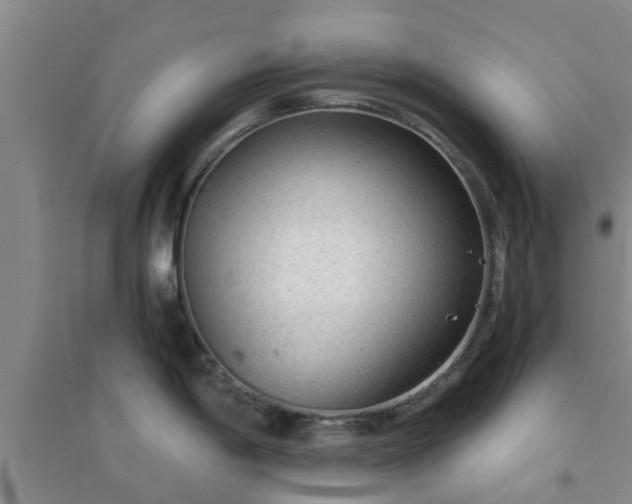 X0000094321198200711091334