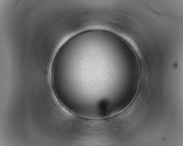X0000094321199200711091334