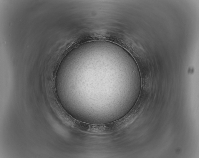 X0000094321201200711091333
