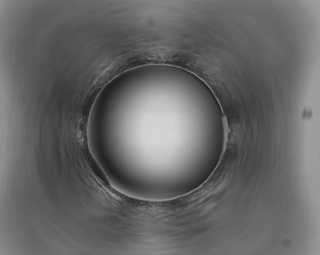 X0000094321202200711091333