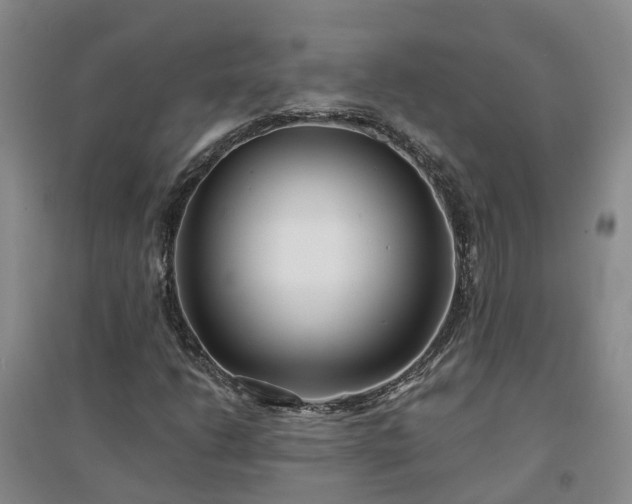 X0000094321206200711091333