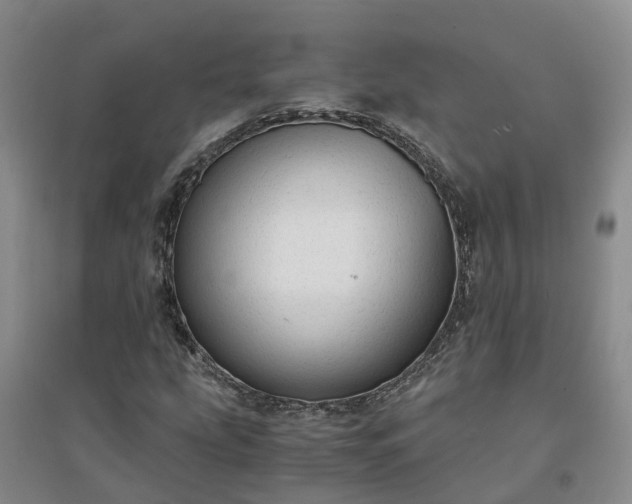 X0000094321207200711091333