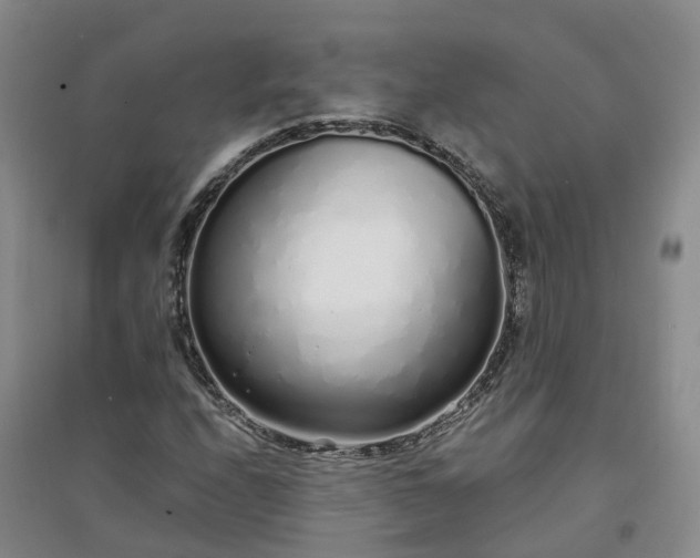 X0000094321208200711091333