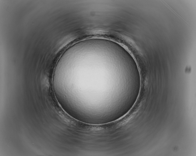 X0000094321209200711091333