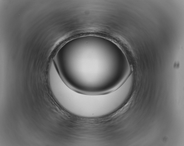 X0000094321210200711091333