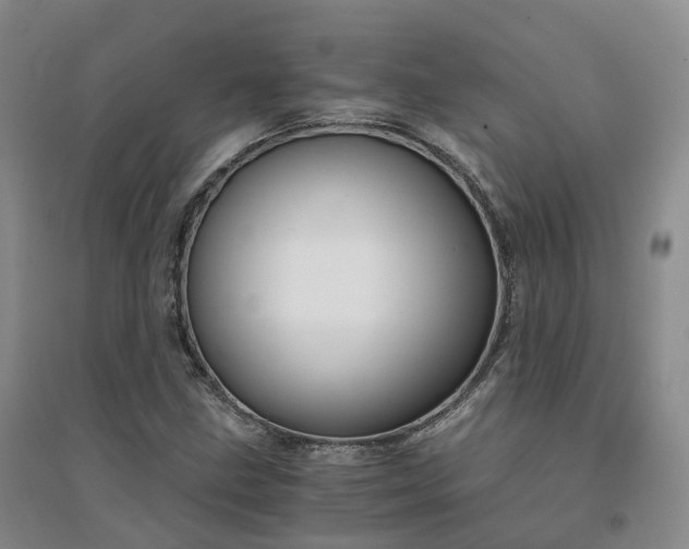 X0000094321211200711091333