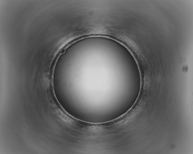 X0000094321212200711091334