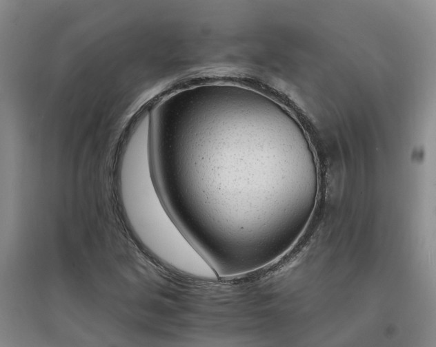 X0000094321213200711091334