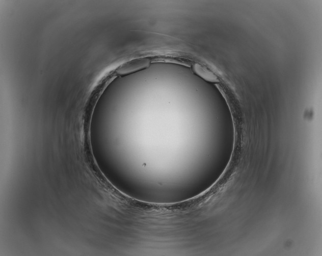 X0000094321214200711091334
