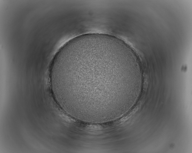 X0000094321215200711091334