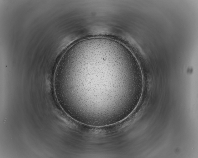 X0000094321217200711091334