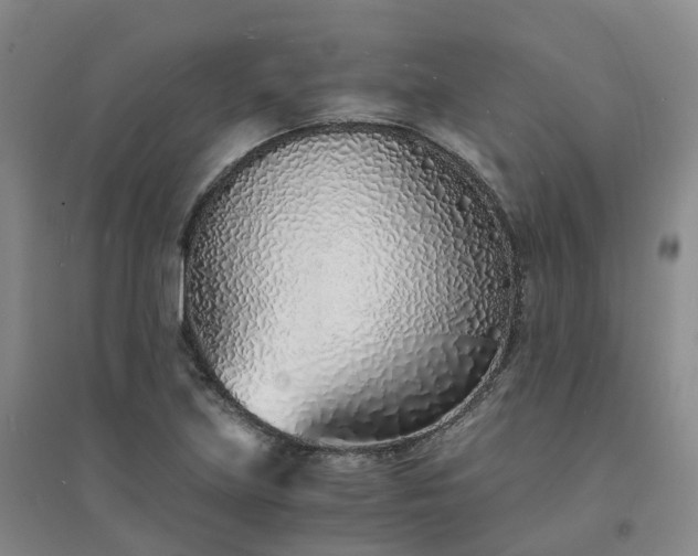 X0000094321219200711091334