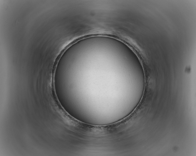X0000094321220200711091334