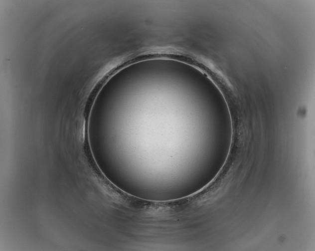 X0000094321221200711091334