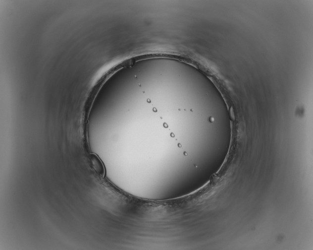X0000094321222200711091334