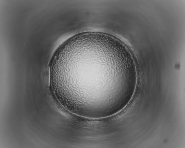 X0000094321223200711091334