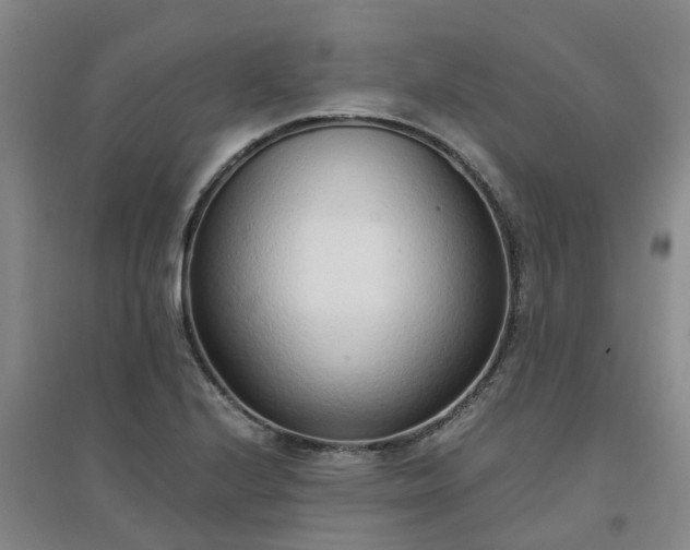 X0000094321224200711091334