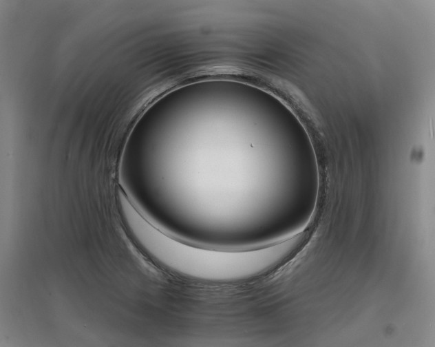 X0000094321225200711091334