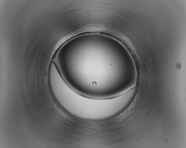 X0000094321226200711091334