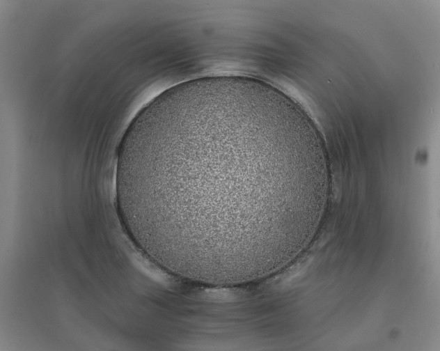 X0000094321227200711091334