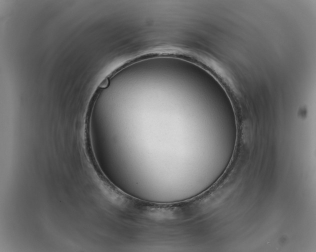 X0000094321229200711091334