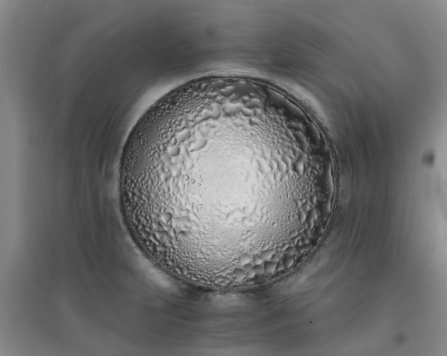 X0000094321231200711091334