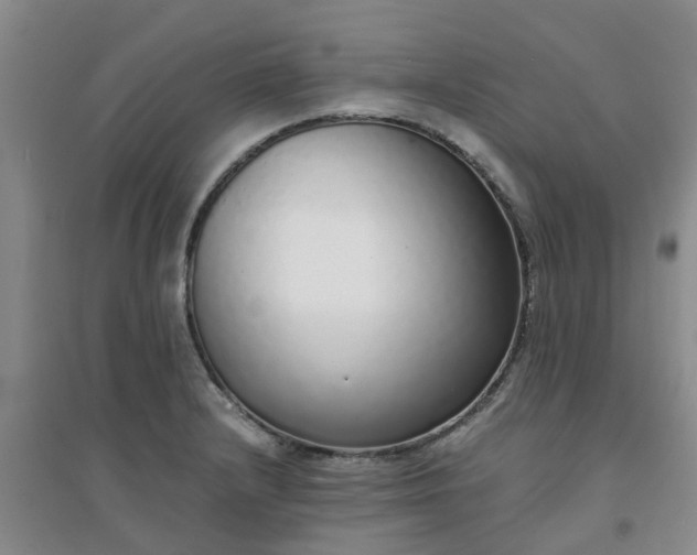 X0000094321232200711091334