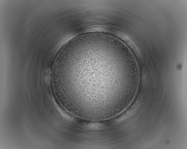 X0000094321233200711091334