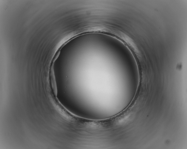 X0000094321234200711091334