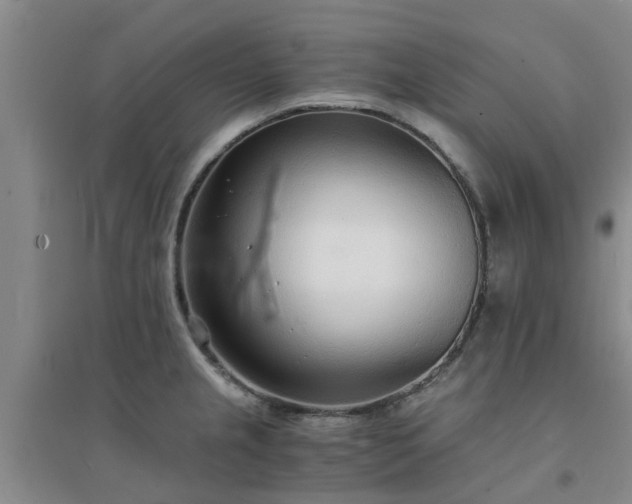 X0000094321237200711091334