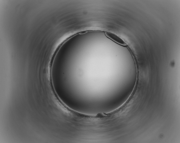X0000094321238200711091334