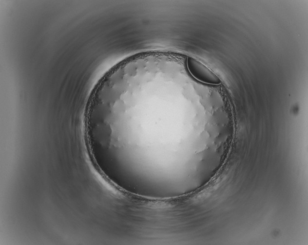X0000094321239200711091334