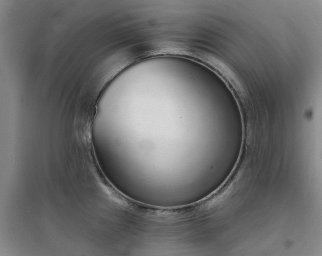 X0000094321241200711091334