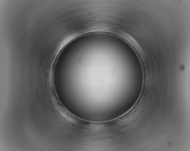 X0000094321242200711091334