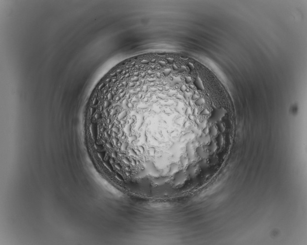 X0000094321243200711091334