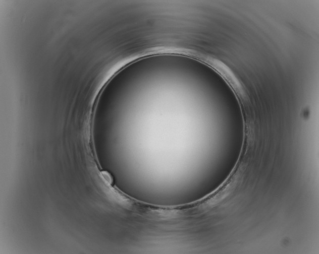 X0000094321244200711091334