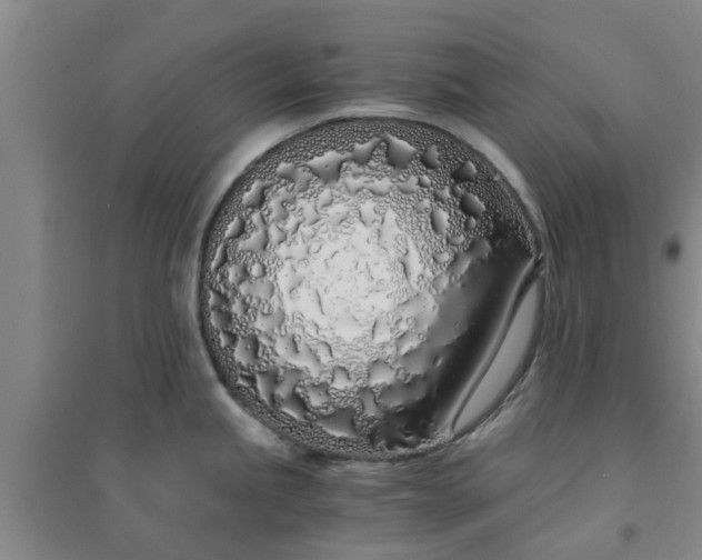 X0000094321245200711091334