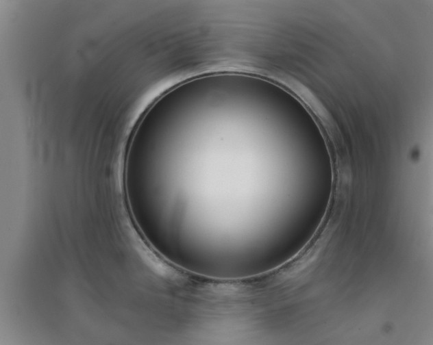 X0000094321246200711091334